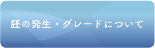 胚の発生・グレードについて